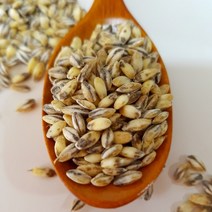22년산 검정보리쌀, 1봉, 1kg