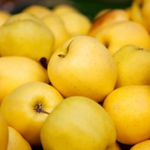 딜리버리맛트 [딜맛] 시나노골드 황금사과 정품(망포장) 중소과 4.5kg(19~22과), 1