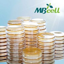 Blood Agar Base Plate/ MBcell 미생물 배지/ 생배지-제조된 배지/ 혈액한천배지, 50Ea
