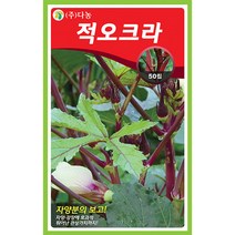 밀크티쓸 흰무니 엉겅퀴 2g - 씨 씨앗 밀크씨슬 엉겅퀴씨앗 나물 나물씨앗 채소씨 채소씨앗 흰무니엉겅퀴, 06_다농_적오크라(50립)