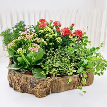 통나무 밑둥 화분 어버이날선물 frp 방수화분겸 수반