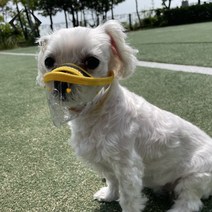 자유롭개 줍줍방지 강아지 입마개 소형견 대형견 마스크 XS, M
