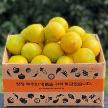 제주돌담 [가정용] 고당도 황금향 2.5kg 소과 중과 대과, (가정용)황금향2.5kg(대과), 1개