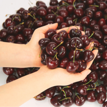 (큰박스 과일 도매) 체리 넉넉한 프리미엄 고당도 생체리 미국산 왕체리, 1kg - 9ROW
