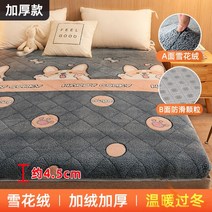 자가발열토퍼 매트리스 양털 두꺼운 겨울 매트 침대 극세사 양면 이불 패드 캐시미어, 웰시코기
