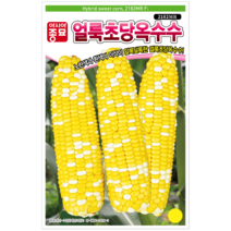 초당옥수수 씨앗 백초당옥수수 종자 얼룩초당옥수수 씨앗, 3.얼룩초당옥수수