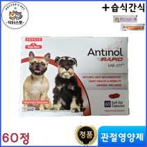 안티놀 60정 / 안티놀 래피드 60정 / 천연 성분 / 관절영양제 / 동물병원 전용 정품 / 강아지 고양이 겸용 + 동물병원 전용 습식 간식