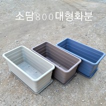 소담800특대형 플라스틱화분 텃밭 옥상 베란다대형화분, 화분브라운