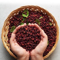 건오미자 300g, 1개, 상세설명 참조