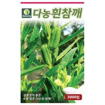 흰참깨씨앗 3000립 - 수량성이 좋은 흰참깨, 상세 설명 참조