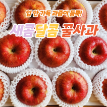 경북 영주 새콤달콤 맛있는 사과 풍기 부사 정품 꿀사과 3kg 중소과(11과) 중과(9과)