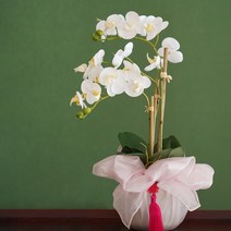 뷰티풀데코센스 조화 호접난 화분, 화이트