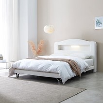 디온 패브릭 투매트침대 +독립40T매트리스 Q, 네이비