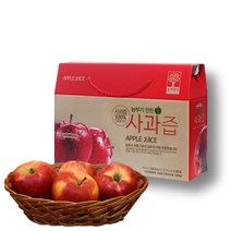예산사과즙 착즙 생사과즙 100ml x30포 저온추출 사과 주스