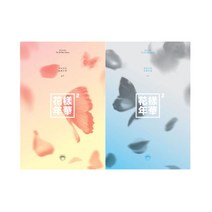 개봉앨범 포토카드 없음 | 방탄소년단 (BTS) - 화양연화 Pt.2