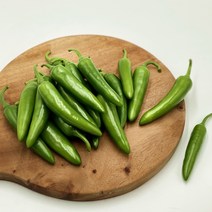 국내산 모닝고추 아삭이고추 오이맛고추 (특) 1kg 3kg 5kg 10kg [노블프레쉬], 모닝고추 1kg