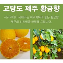 제주 황금향 선물용 2.5k 14-18과 성인병예방 수험생 비타민C 피로회복 명절 다이어트식단, 상세페이지 참조, 상세페이지 참조