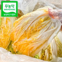 세상모든농부 무농약 해남 절임배추 산지직송 김장 절인배추 20kg, 1월 발송 / 도착희망일을 남겨주세요