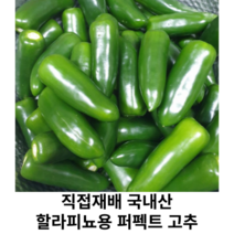 [국내산/국산] 아삭아삭 미니 할라피뇨고추 1kg 3kg 직접재배 할라피뇨 퍼팩트 아삭이 고추 오이고추 피클용 오이지용 할라피뇨용 퍼펙트고추 피클 장아찌용 생 퍼팩트고추