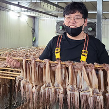 염분을제거한 국내가공 삼삼마른오징어 300g 5마리, 저염 1.3kg 한축(20마리)