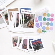 폴라로이드 종이 엽서 인테리어 인스타 감성 다꾸, 6. 상파울루 (ME-107)