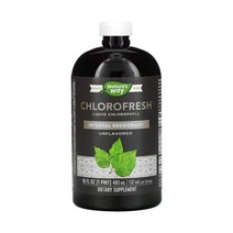 네이처스웨이 클로로필 액상 엽록소 Chlorophyll 무맛민트맛 2종 480ml, 민트맛