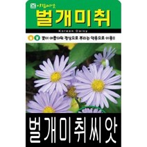 [워터트리몰] 벌개미취씨앗(500립) 채소 꽃 종자 재배 씨앗 허브 나무 (A), 1개