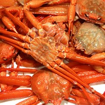 영덕강구항 박달홍게 마리당 350g내외 수율 80~90%, 1박스, 7마리(마리당 350g내외 수율80~90%)