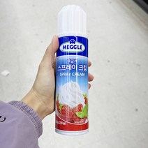 오이84.1491 메글레스프레이크림238.957mlx1개, 종이박스포장