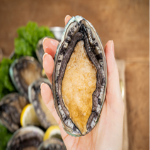[생산자직송] 완도 활전복 가성비 1kg 중소~ 소전복까지 (1인 상품판매), 나혼자 산다 6~9마리(500g) 버터구이