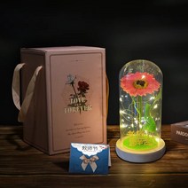 졸업선물 입학선물 집들이 선물 해바라기 유리돔 무드등 인테리어 장식 생일 미녀와야수, P