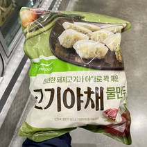 풀무원 고기야채물만두 1.4kg_보냉백포장, 아이스보냉백포장