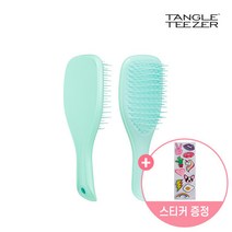 탱글티저 WET 디탱글러 미니 씨 그린 (+스티커 증정)