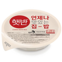 CJ 햇반 210gx24개
