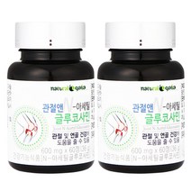 타이거아울렛 N아세틸 글루코사민 60정 x 2병 약 4개월분 무릎 관절 건강 연골에 좋은 엔아세틸 NAG N-아세틸 글루코사민, 단품, 단품