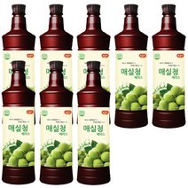 광야식품 매실청 베이스 970ml, 8개