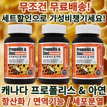 정성홍의 캐나다 직수입 프로폴리스 & 아연 비염 염증 면역력 에 좋은 영양제 약 90 캡슐 3개