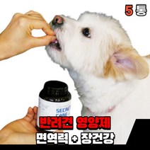 반려견 강아지 영양제 애완견 대형견 면역력 장 건강 개 노령견 유산균 먹는 면역영양제 새끼강아지 소형견 애견, 면역 + 장건강(5통)