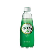 롯데칠성음료 트레비 라임, 20개, 300ml