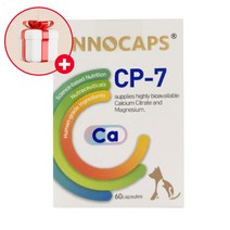 이노캡스 CP-7 강아지 고양이 인 마그네슘 칼슘 영양제(60캡슐), 단품, 단품