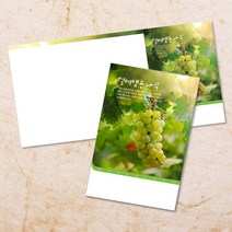 교회주보 예배 주보용지 3단6면 주보지 안내지 전도지 절기 부활절 추수감사 맥추감사 성탄절 신년감사 디자인 기독교용품, EW-49
