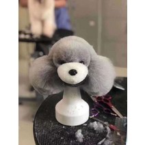 애견 미용 연습 마네킹 강아지 펫샵 학원 실습 모형, 흰색 입 회색 고급 머리 머리 곰팡이 없음