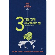 3개월 안에 유창해지는 법:외국어 이번엔 진짜 끝낸다!, 알키, 베니 루이스 저/신예경 역