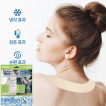 [이지미톡] 붙이는 아이스패치 쿨링패치 쿨패치 냉찜질 2매입