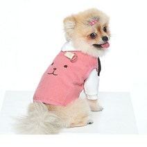 말썽쟁이여름 강아지 애견 개 소형견 중형견 반려견 패딩 옷 골덴 패딩 패딩조끼 하네스패딩 깔깔이 아우터 외투, 그린