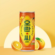 동아-오란씨오렌지250ml(30캔) x2, 60개