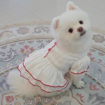 공주 웨딩드레스 레이스 프릴 크롭 원피스 강아지옷 똑띠, 화이트