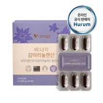 베러헬시 달맞이꽃종자유 혈행개선 영양제 생리통 콜레스테롤 개선 보라지꽃 PMS, 1개, 300캡슐