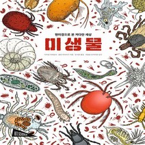 보림 새책-스테이책터 [미생물] -현미경으로 본 커다란 세상-아트사이언스-보림-다미앙 라베둔트 외 지음 장석훈 옮김 세드릭, 미생물