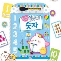 5세 숫자와 처음접하는 어린이 썼다 지웠다 워크북 카드 마카펜 벽그림 숫자첫걸음